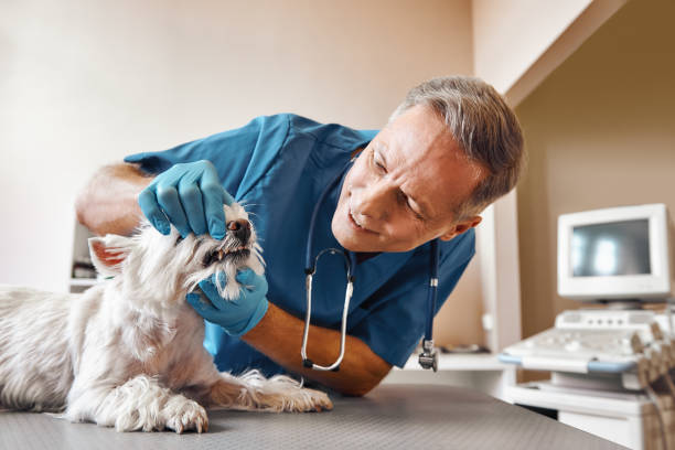 Best Mobile Emergency Dentist in Bristol, VA